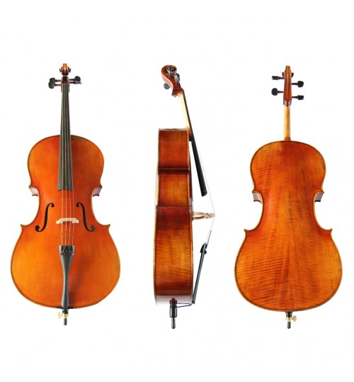 Student Cello FP13