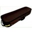 Violin professional Wooden case FPH108