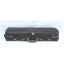 Violin professional Wooden case FPH1081