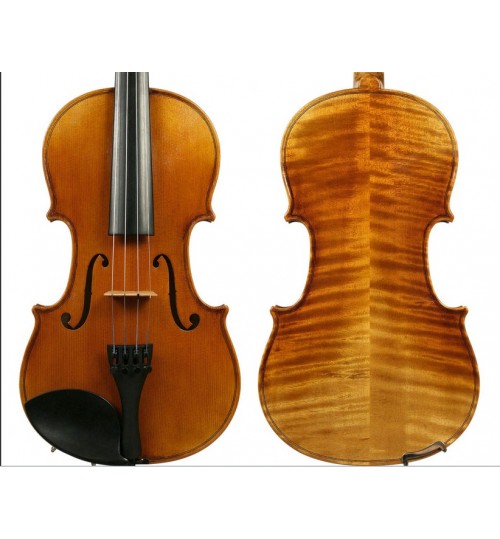 Rhapsoday Student Violin  Model FP13